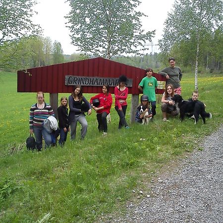 Grindhammaren B&B Ramsberg Eksteriør billede