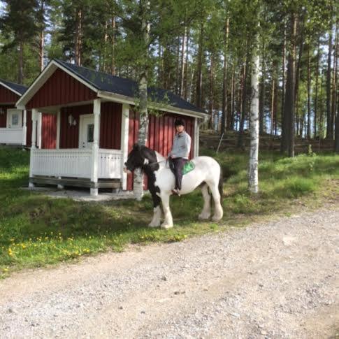 Grindhammaren B&B Ramsberg Eksteriør billede